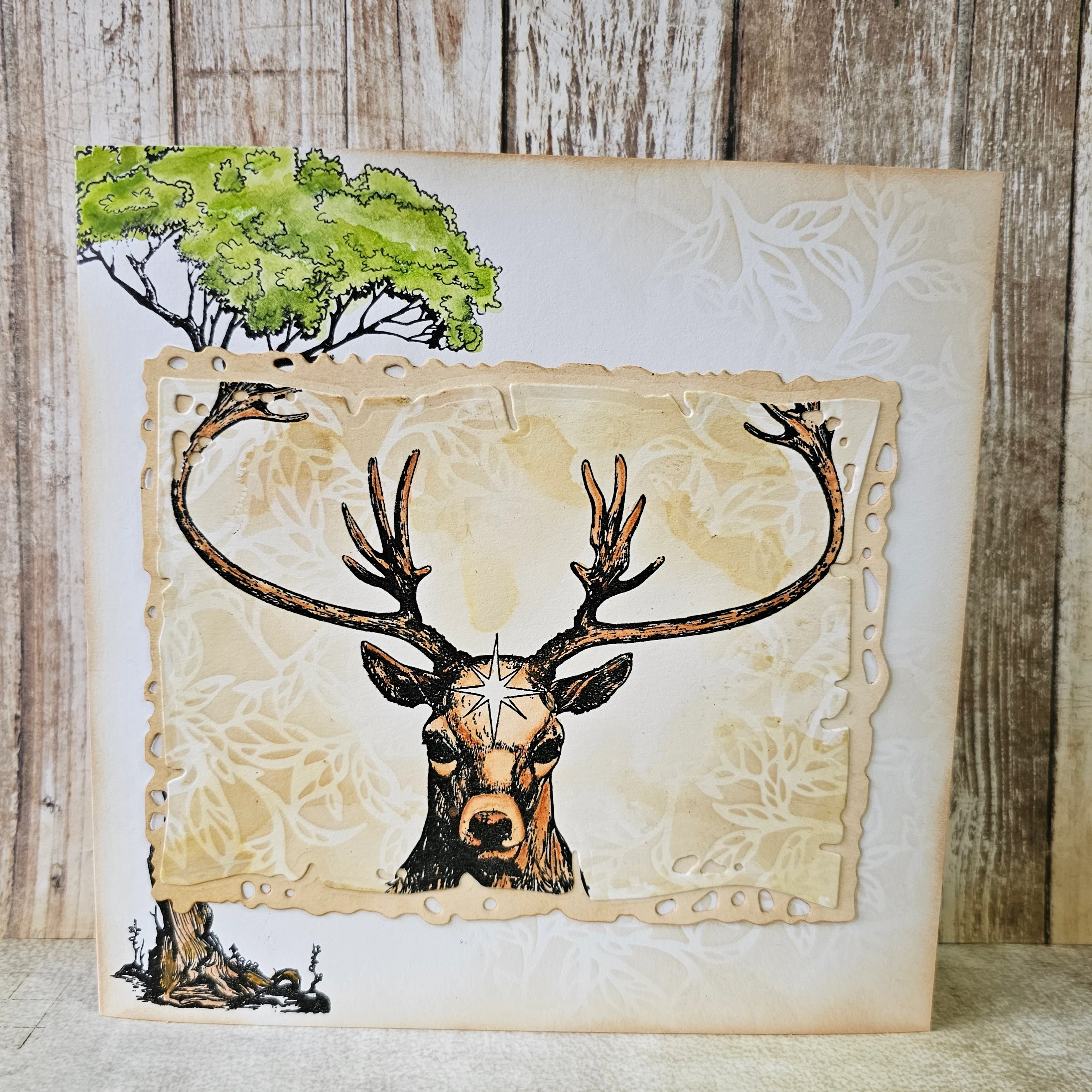 #1084 - A6 Stamp Set - Entwined - Image 13