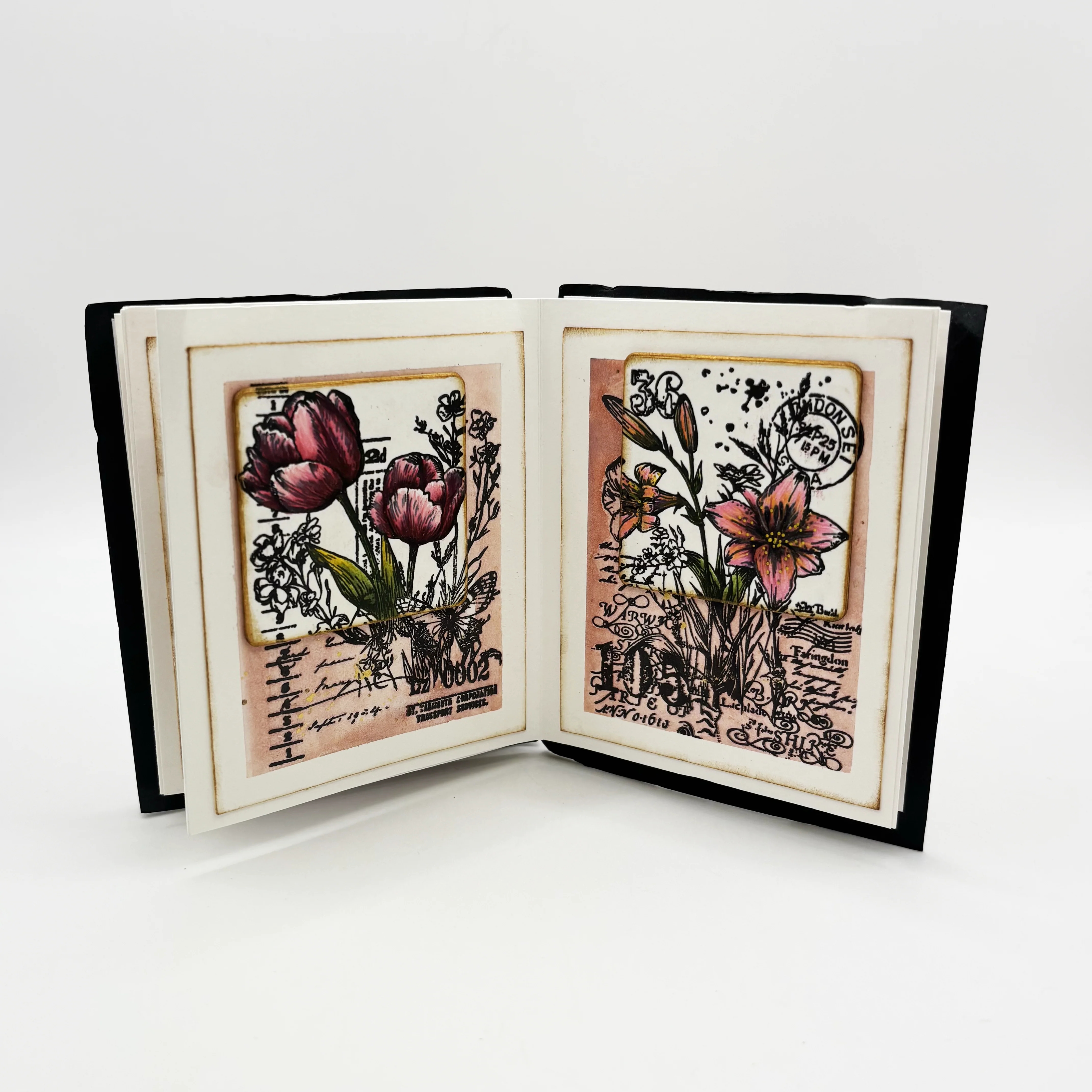 #1249 - A6 Stamp Set - Petal Pop - Image 11