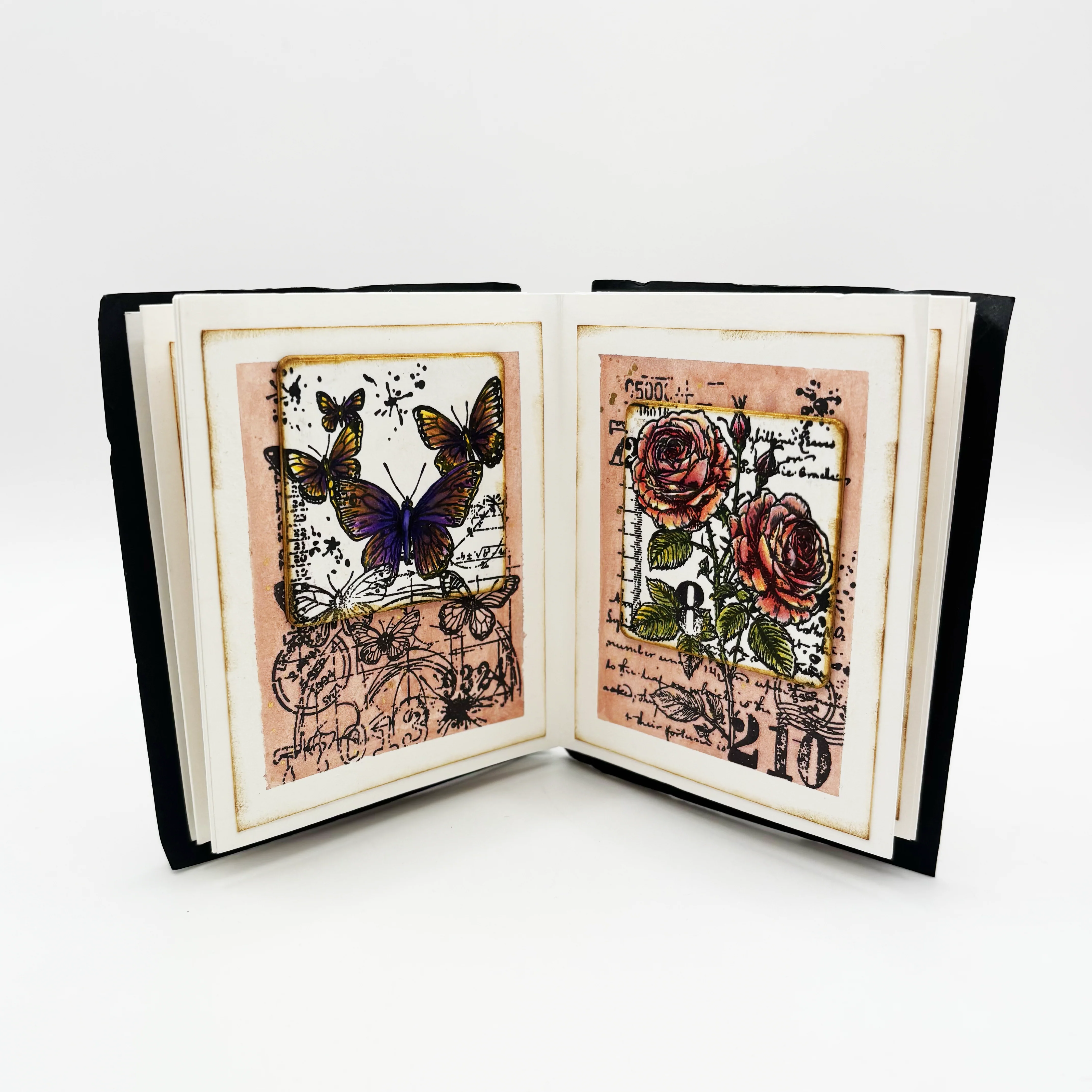 #1252 - A6 Stamp Set - Tangerine Wings - Image 10
