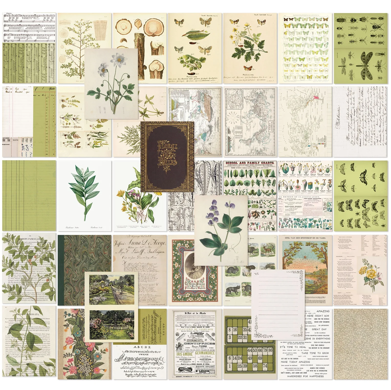 49 And Market Color Swatch: Grove Collage Sheets 6"x8" - 40 Pcs - Image 2