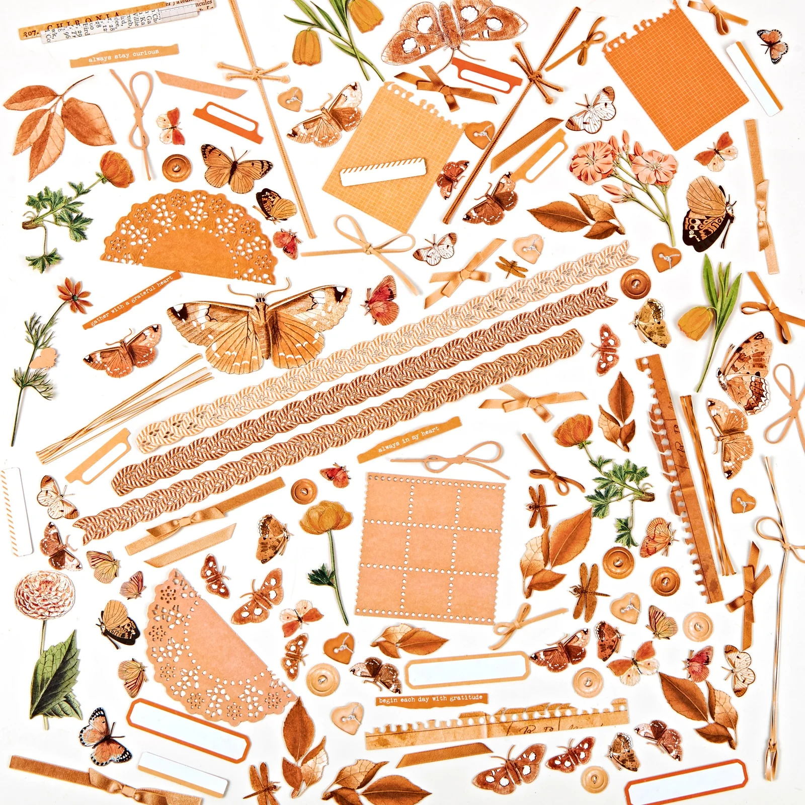 49 And Market Color Swatch: Peach Laser Cut Outs - Elements - Image 3