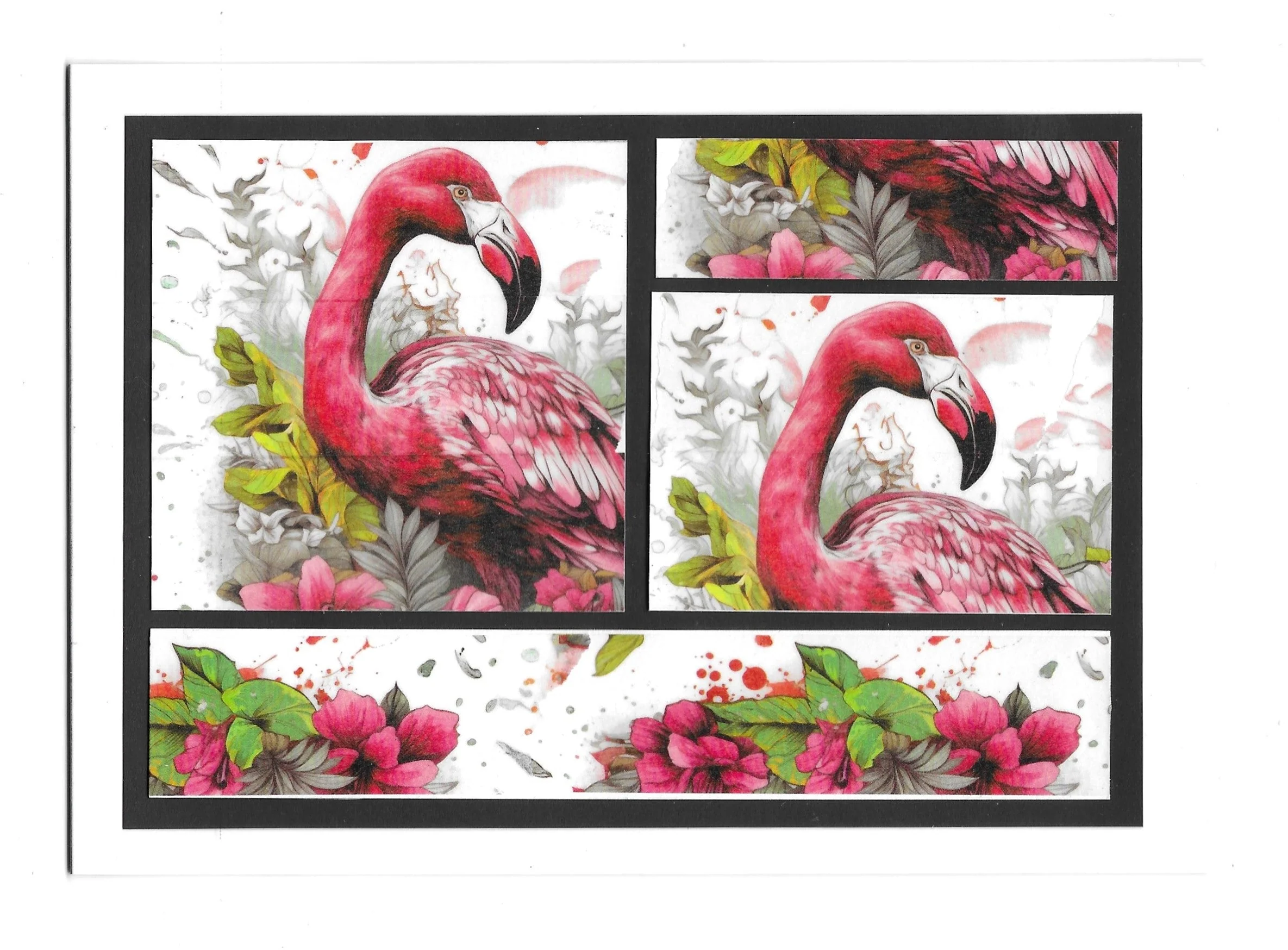 8 x Washi tapes - Flamingo Go Go - Bouquet Calling - Image 61