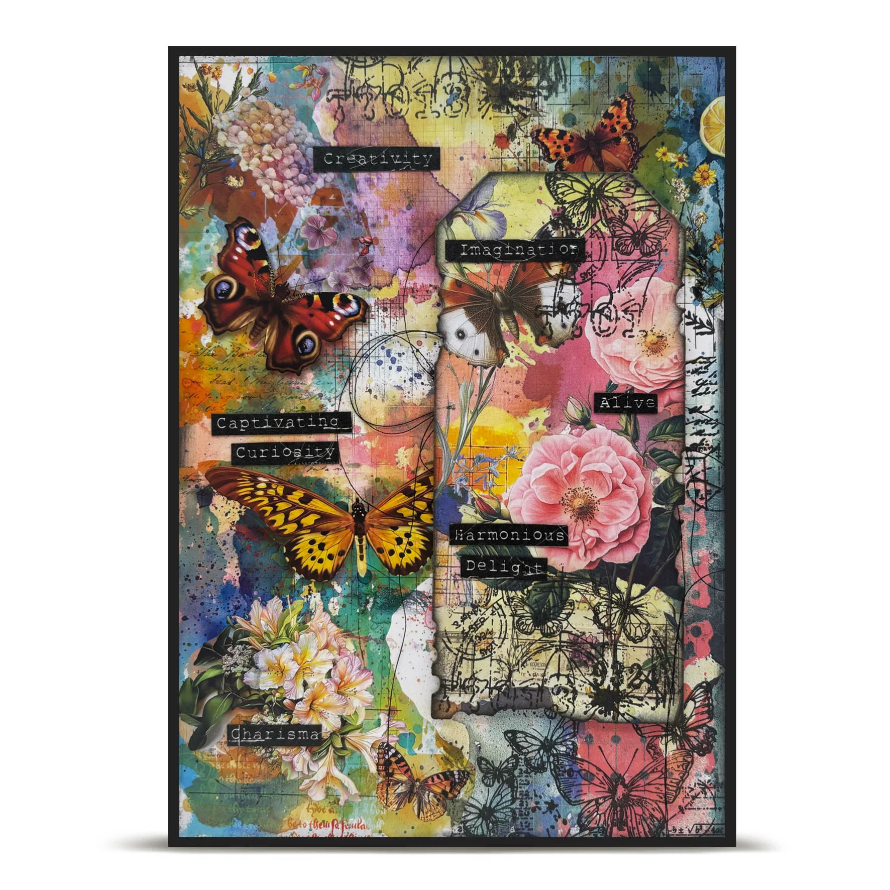 September 2025 Complete Collection - Image 164