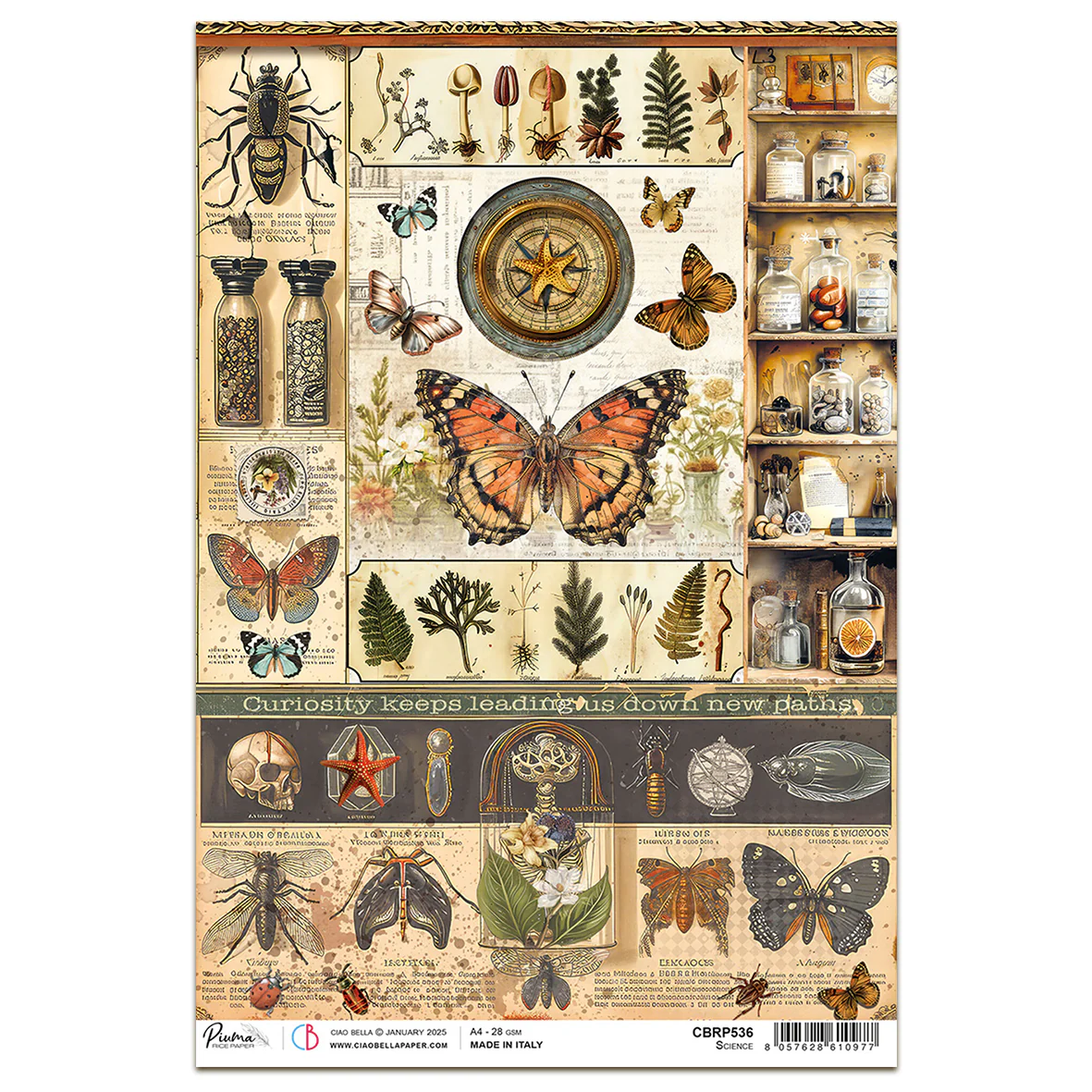 Ciao Bella Cabinet of Curiosities A4 Rice Paper Science (1pc)