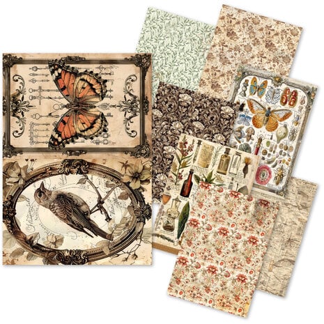 Ciao Bella Cabinet of Curiosities A5 Rice Paper Mixed (8pcs)