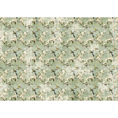 Ciao Bella Tissue Paper 69x49cm Asian Touch - Image 2