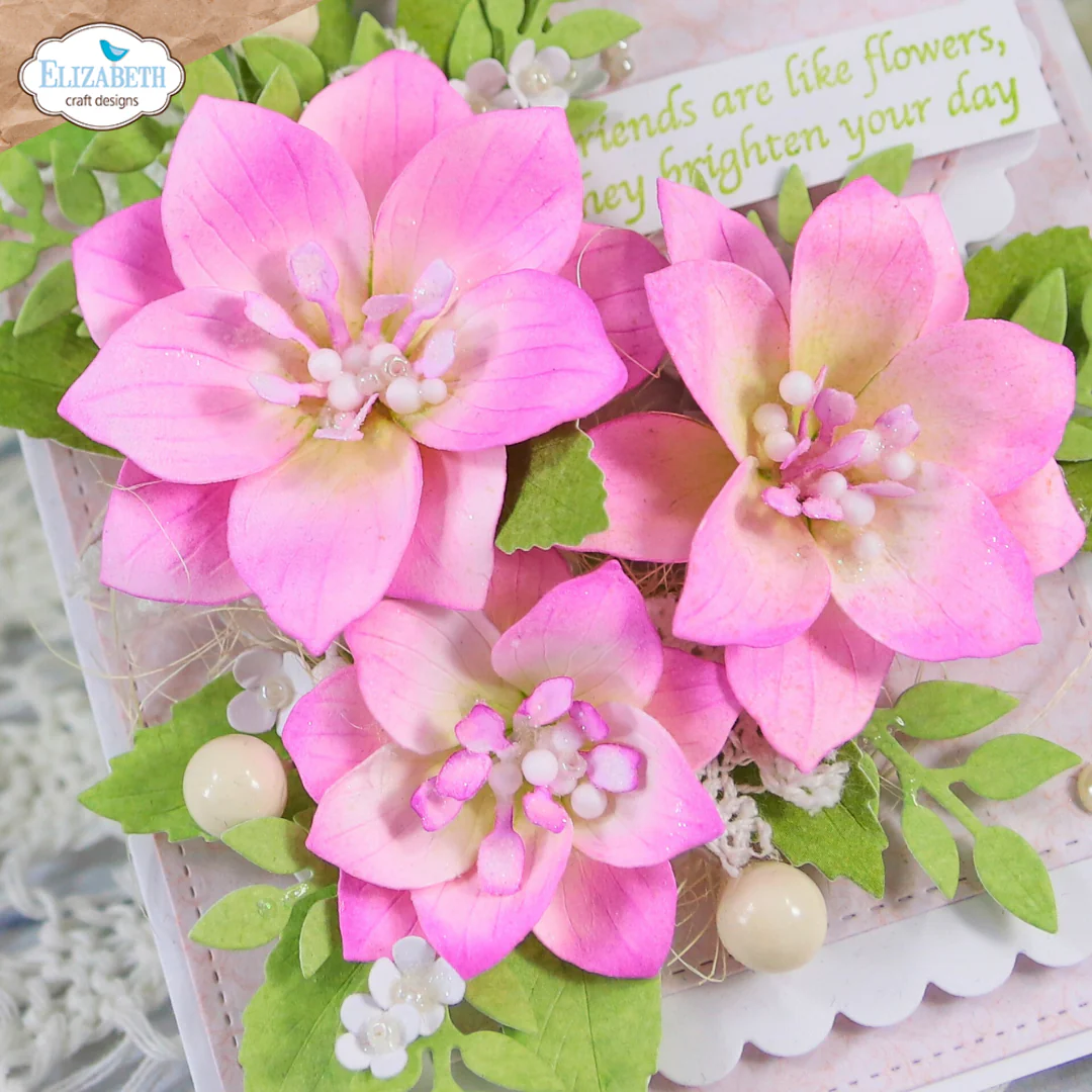 Elizabeth Craft Designs April 2026 Beautiful Blooms Complete Collection (Save £16) - Image 20