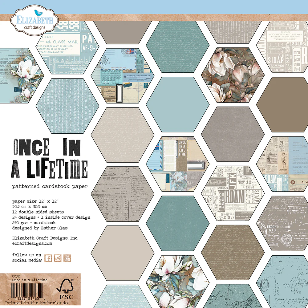 Elizabeth Craft Designs Once in a Lifetime 12x12 Inch Patterned Cardstock Paper