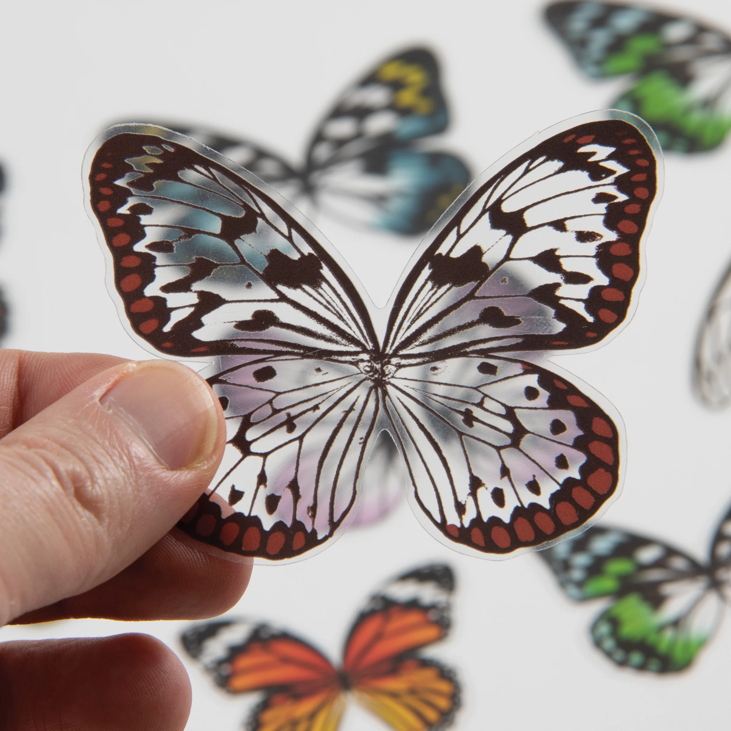 Idea-ology Tim Holtz Transparent Acetate Wings - 72 Pcs - Image 2