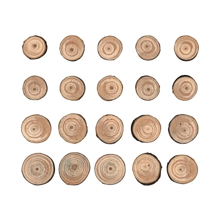 Idea-ology Tim Holtz Wood Slices (20pcs) - Image 2