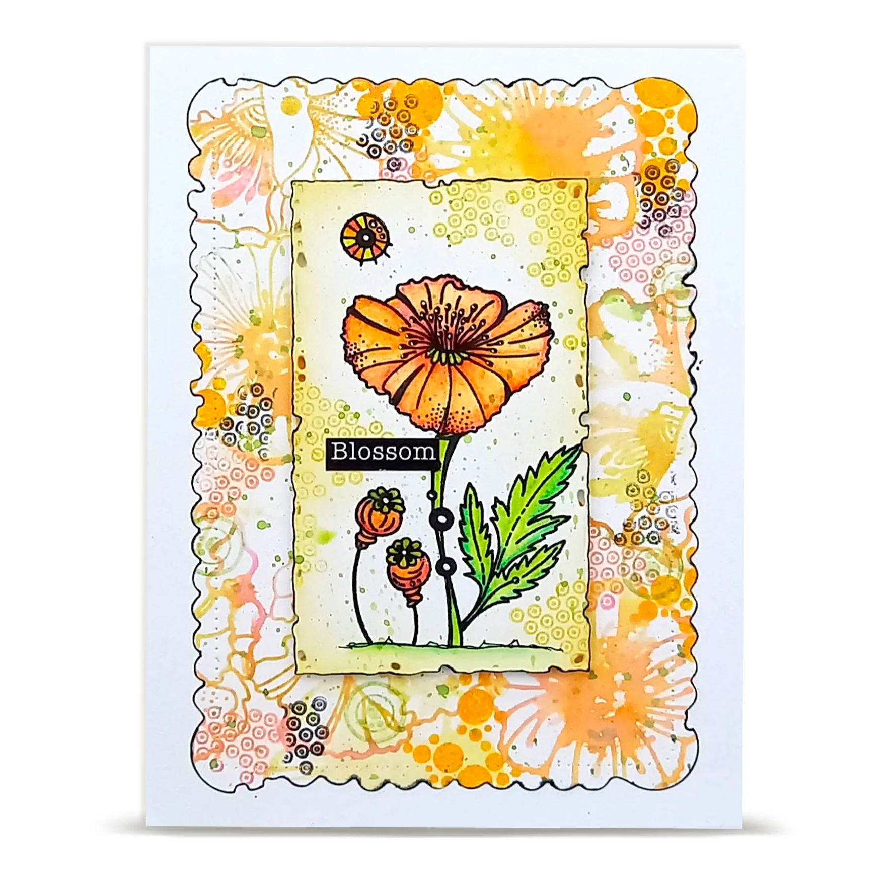 July 2026 Complete Collection (Save £80) + Free Poster & Bio Cards - Image 33