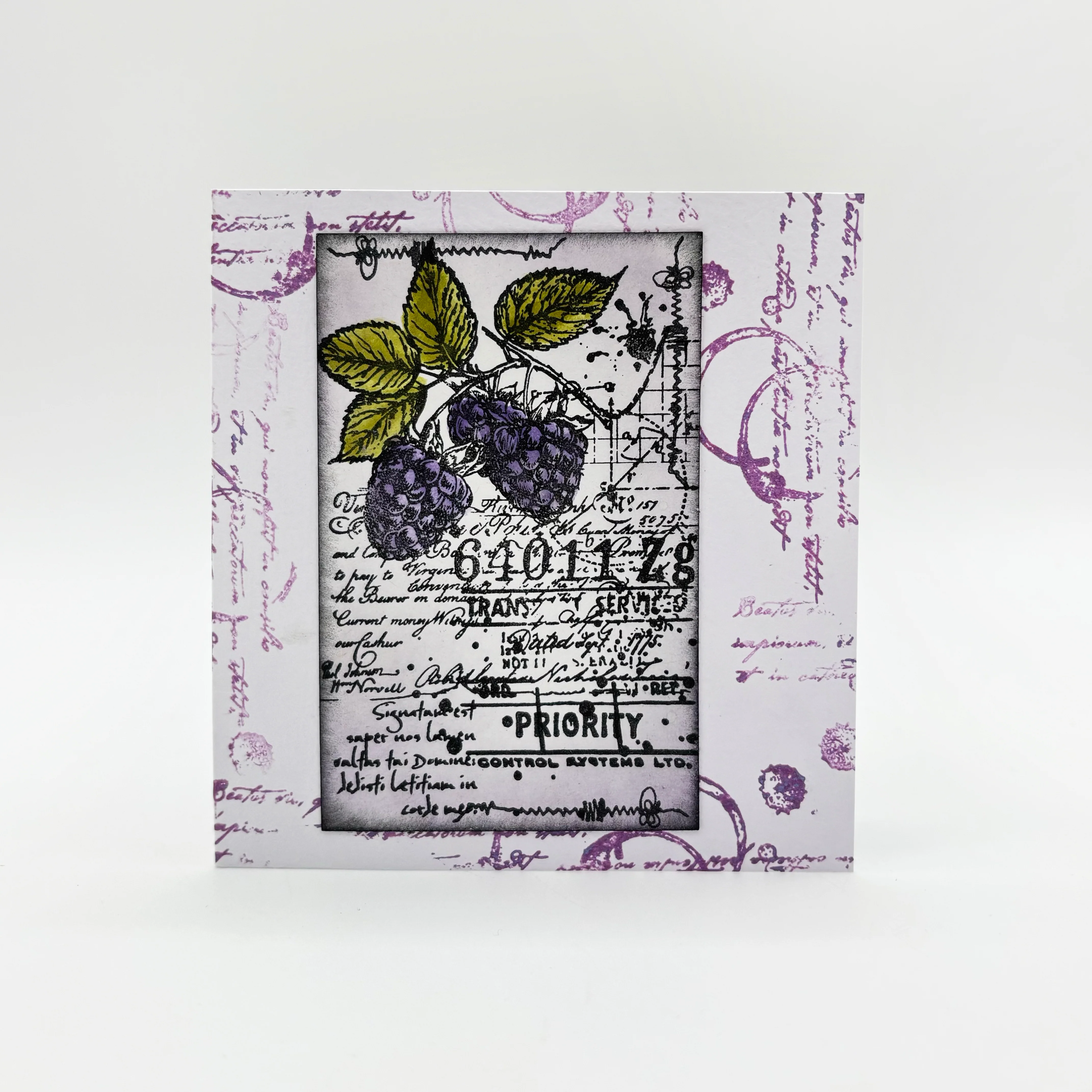 Nature's Impressions Stamp Bundle - Image 49