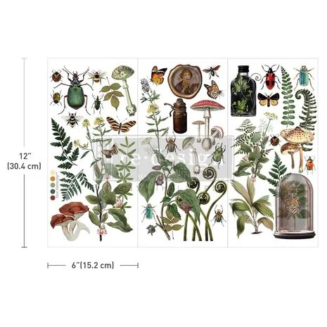 Re-Design with Prima Botanical Archives 6x12 Inch Small Transfers (3pcs)