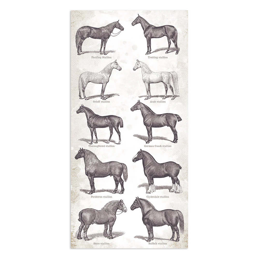 Stamperia Collectables 10 sheets 15 x 30.5 cm (6 x 12) Romantic Horses - Image 6