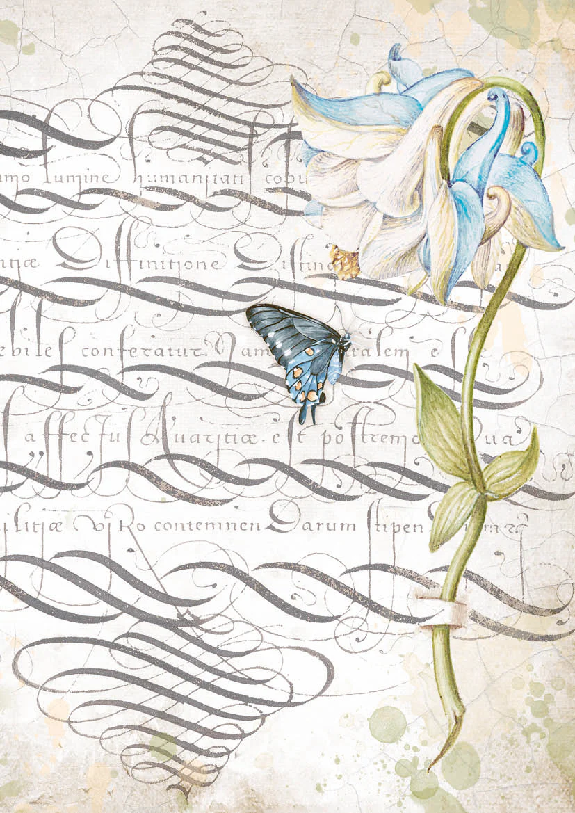Stamperia Pack 6 assorted acetate sheets Romantic Garden House - Image 3
