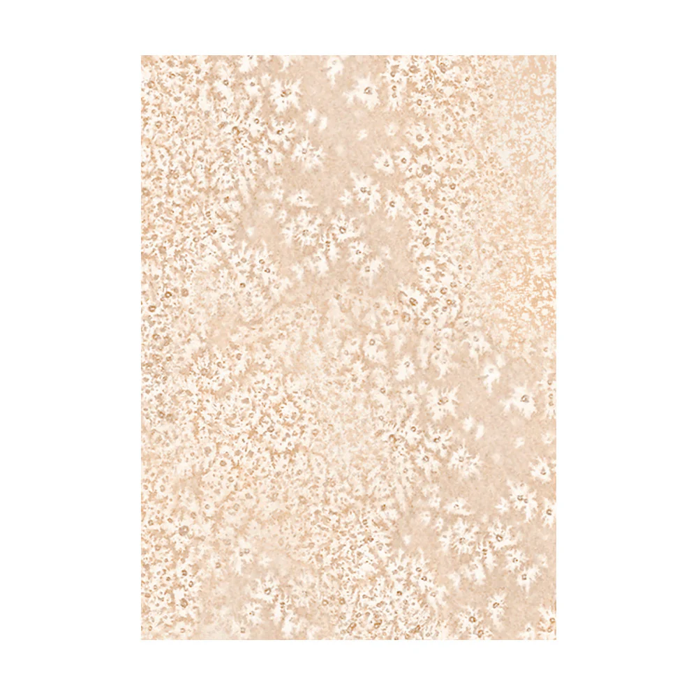 Stamperia Selection of 8 A6 Rice Paper Backgrounds Christmas Greetings - Image 6