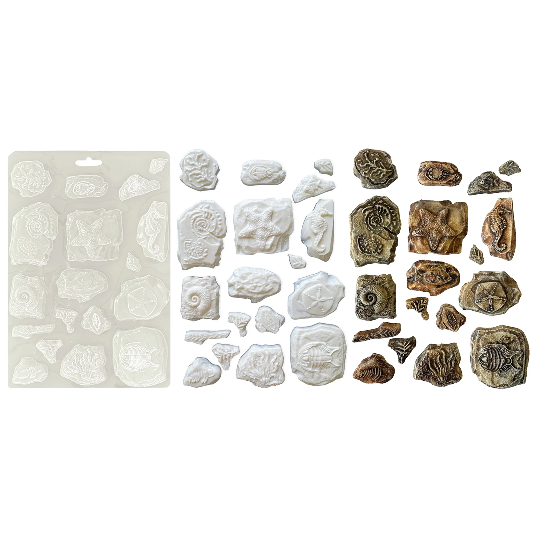 Stamperia Silent Sea A5 Soft Mould Fossils