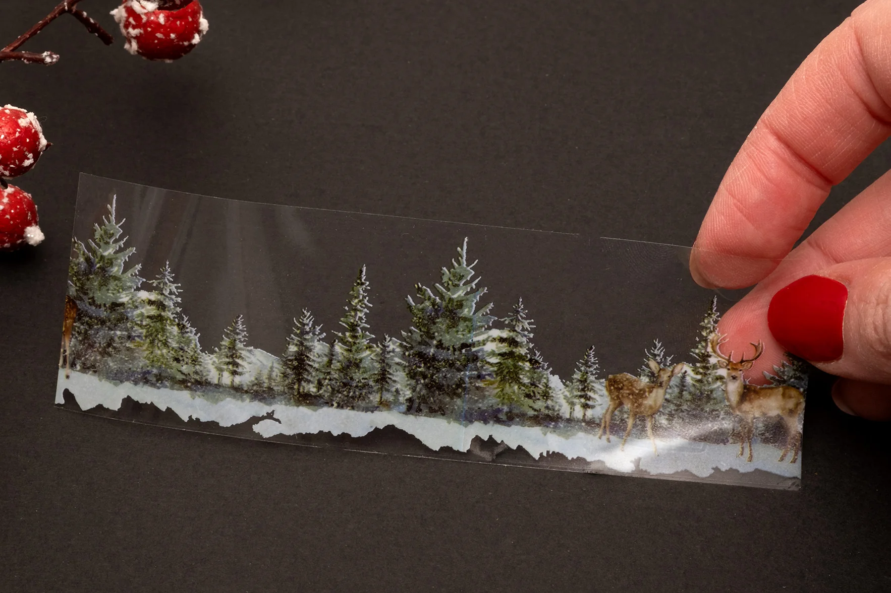 Studio Light Essentials Clear Stickers Collection - Image 6